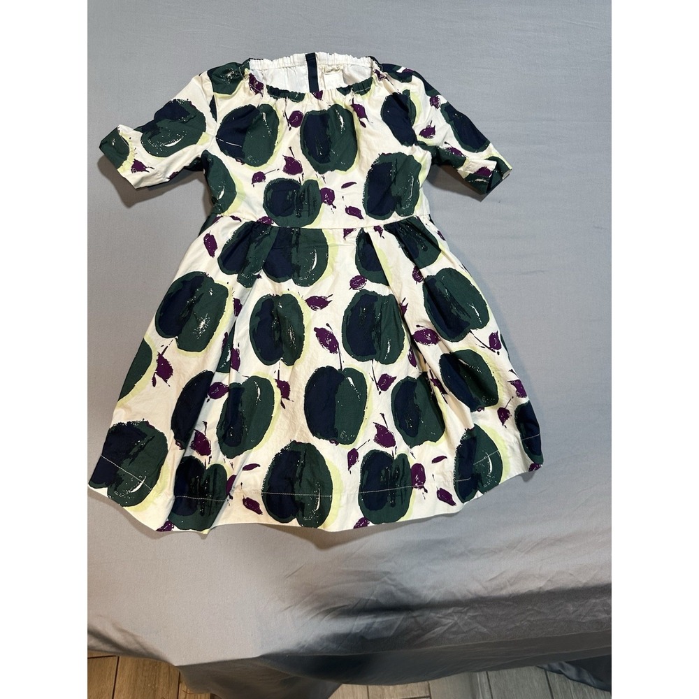 Crewcuts Girls Apple Pattern Zip Up Dress 5